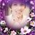 Diana Eversole's profile image