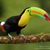 Juan Jose Brutomeza's profile image