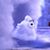 Sara Hopkins's profile image