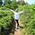 Tanya K. Hiestand's profile image