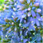 Vilma Remedios's profile image