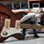 Michael Captain Steele Phillips's profile image