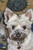 Sheryl R.'s profile image