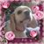 Ann Dessler's profile image
