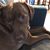 Lori Bradley's profile image