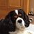 Sue Thorman's profile image