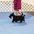 Siobhan O'Brien Olson's profile image