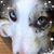 Leslie Bennett's profile image