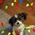 Sylvia Jocelyn Ashcraft's profile image