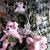 ReneeHast Stabila Salvador Stabila's profile image