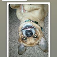 Chris Moore's profile image