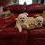 Linda Stark Jakowatz's profile image
