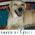 Cyndy Lyons's profile image