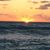Robin Boyer's profile image