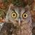 Rob Wait's profile image
