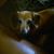 Gary Brister's profile image