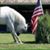 Terri Reeves's profile image