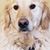 Lisa Kaczmarek-Schmudlach's profile image
