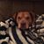 Amy Vaughan Canady's profile image
