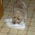 Daniel Blye Sr.'s profile image
