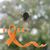 Alicia Hollers's profile image