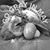 Erin Marie Nold-Dower's profile image