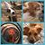 Annie Orbison's profile image
