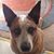 Mary Wulff's profile image