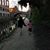 Tara Grammes Lyman's profile image