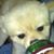 Amy Tessa Sanders's profile image