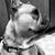 Alissa Merski-Lino's profile image