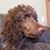 Daniel Walker's profile image