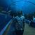 Austin T. Beaven's profile image
