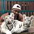 Jermond Ransom's profile image