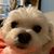Lisa Wright's profile image