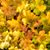 Anna Horn Kreske's profile image