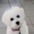 Debra Dillon's profile image
