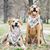 Kristina Pikul-Bertich's profile image