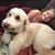 Shelly Harbert's profile image