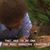 Marla Rowe Kilpatrick's profile image