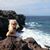 Kelli Bigelow's profile image