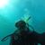 Terry Blakeslee's profile image