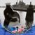 Ericka Warren's profile image