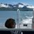 PhilDenise Hicks's profile image