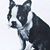 Oliver Williams's profile image