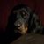 Chuck Bestul's profile image