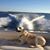 Kim Chanice-Metz's profile image