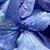 Jocelyn Lay Barrios's profile image