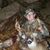 Matthew Barry's profile image