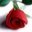 Abby Brickler's profile image